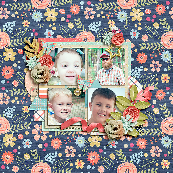 My reasons