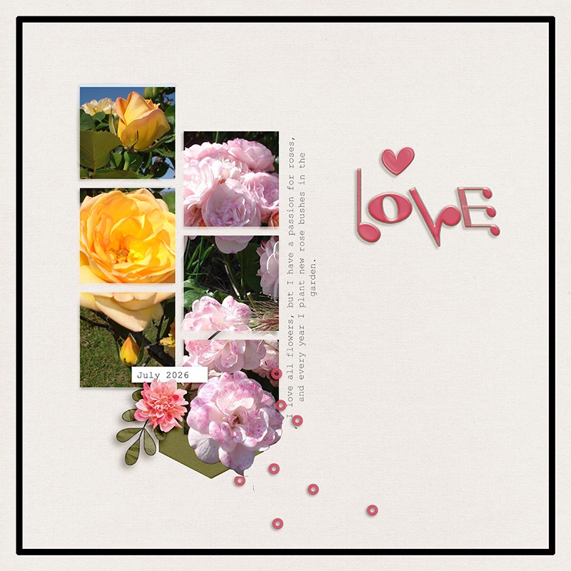 My roses