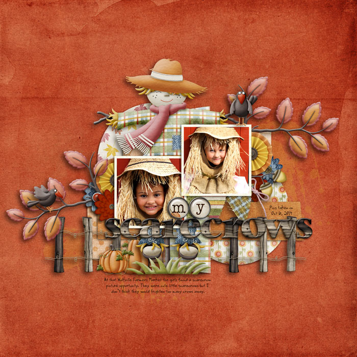 My Scarecrows