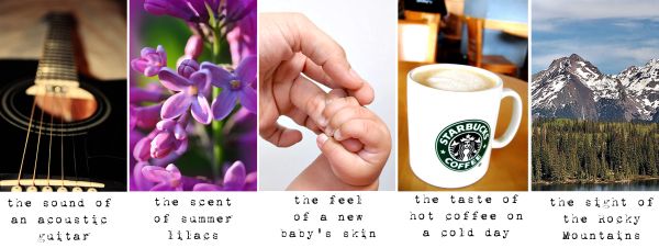My Senses