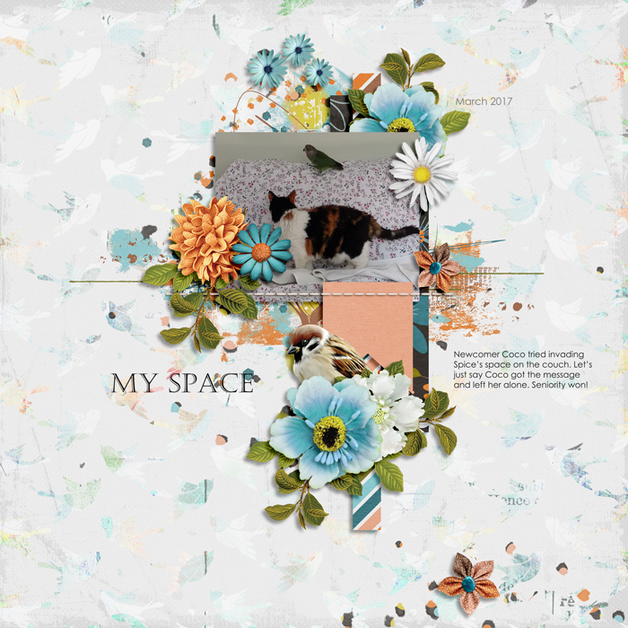 My space