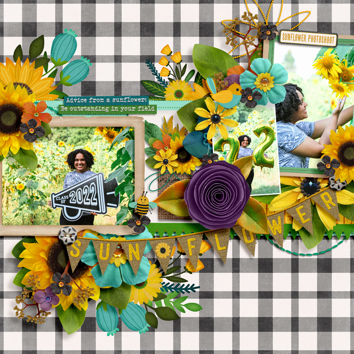 my sunflower