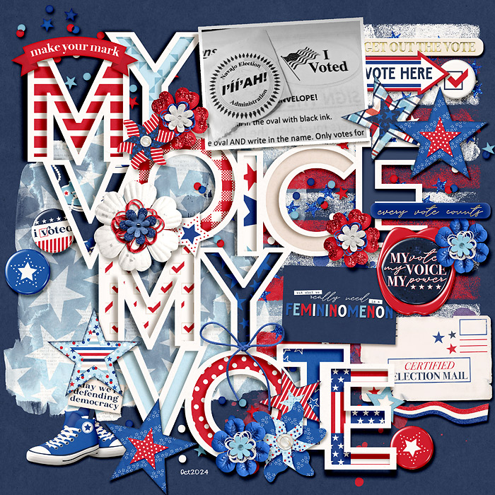 My Voice My Vote