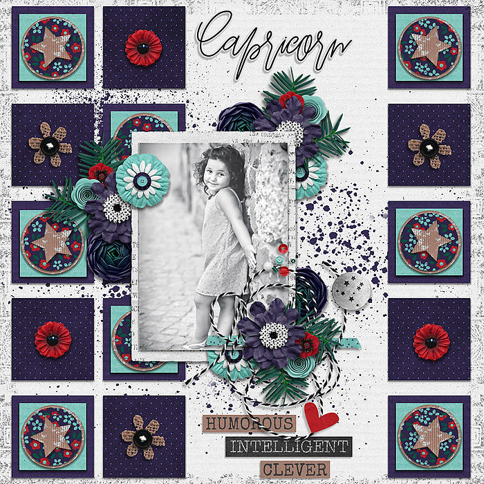 My Zodiac-Capricorn