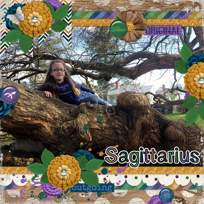 My_Zodiac_-_Sagittarius