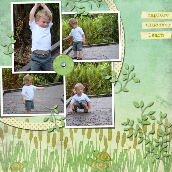 Nature boardwalk