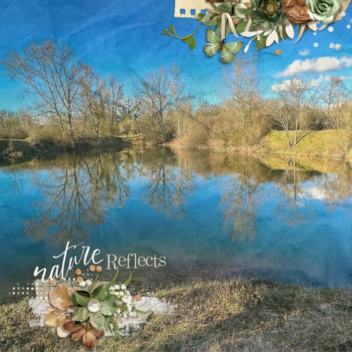 Nature reflects