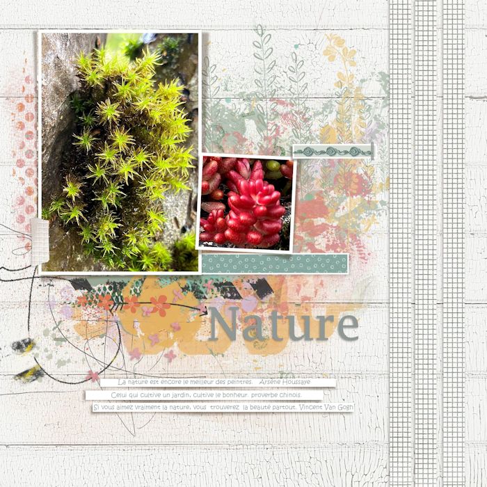 Nature
