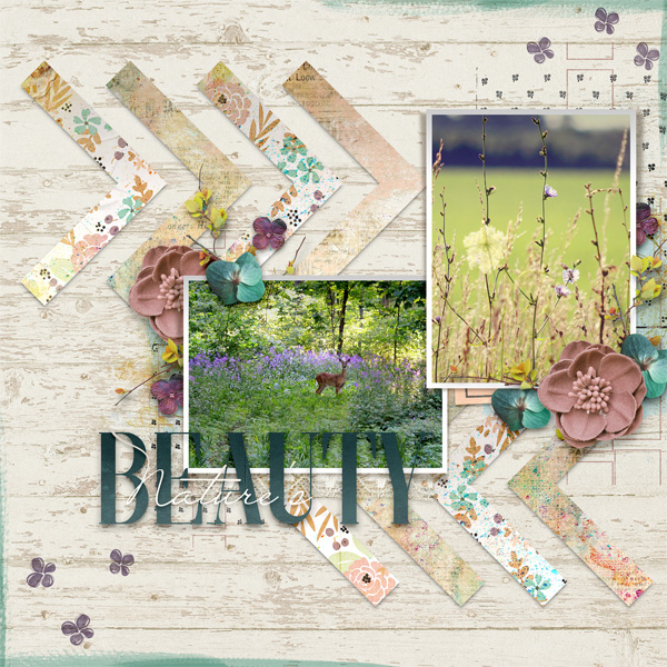 Nature's Beauty