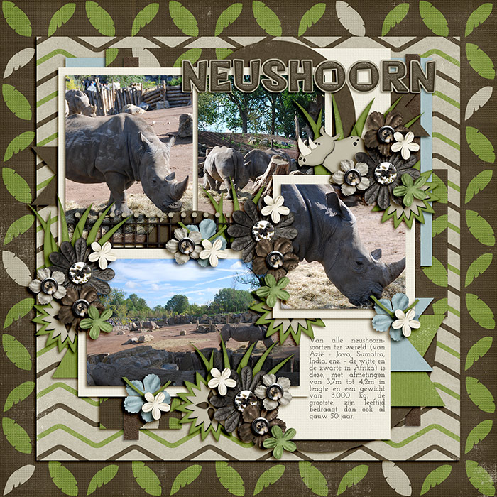 Neushoorn