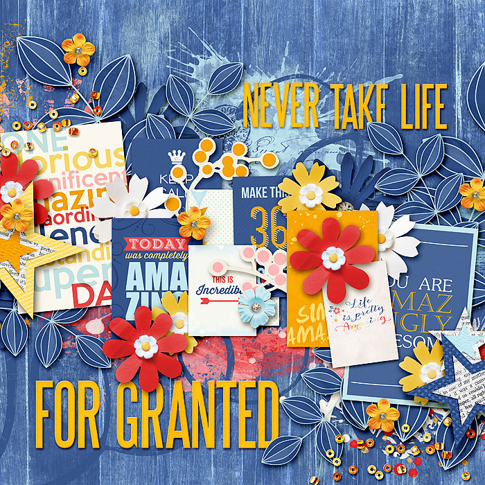 Never Take Life for Granted