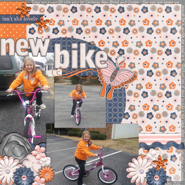 New Bike