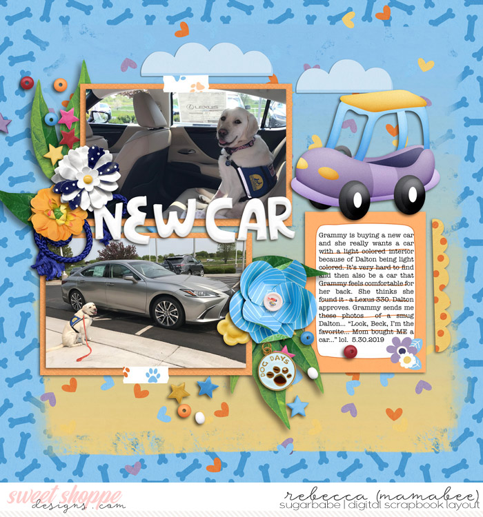 new car