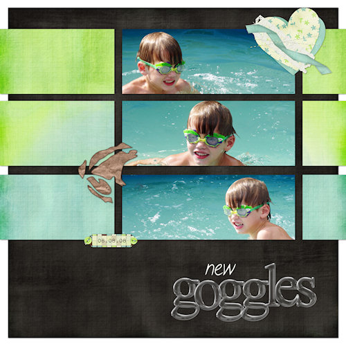 New Goggles