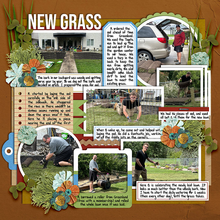 New Grass