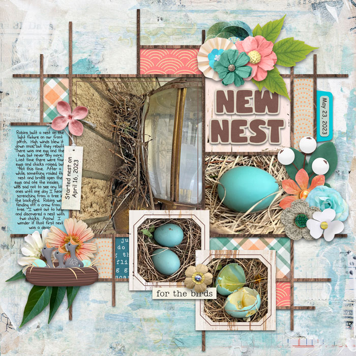 New Nest