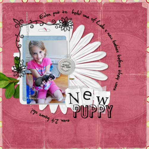 New Puppy