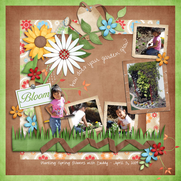 New Spring Flowers