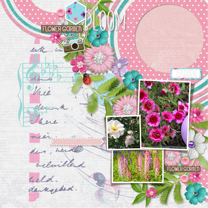Niagara: bloom