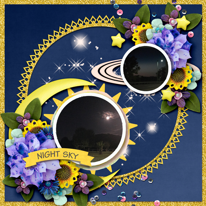Night Sky