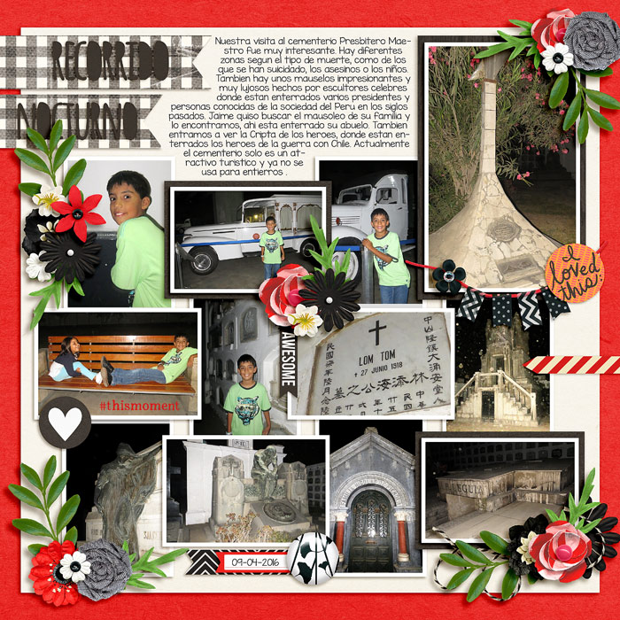night tour L