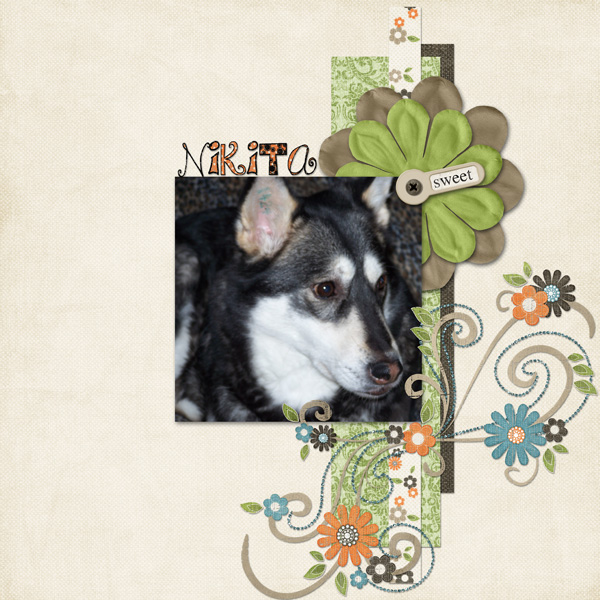Nikita