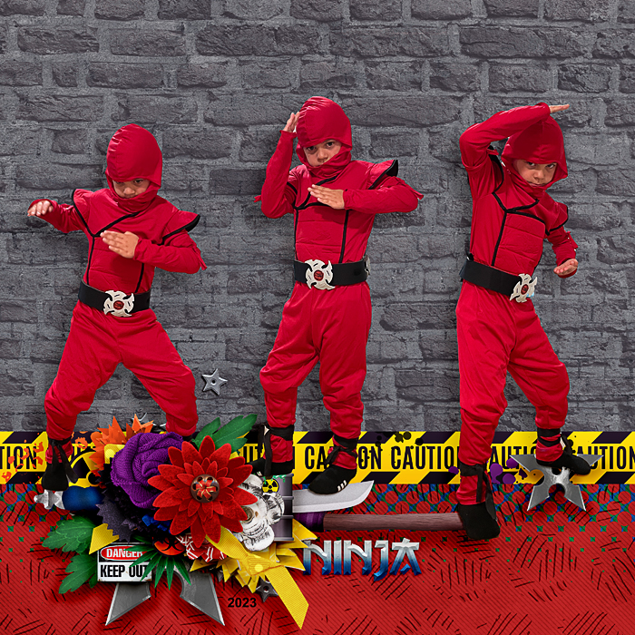 Ninja