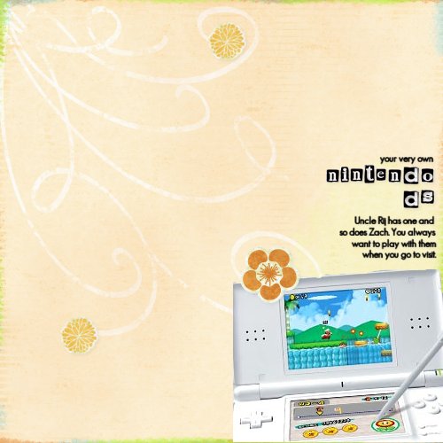 Nintendo DS