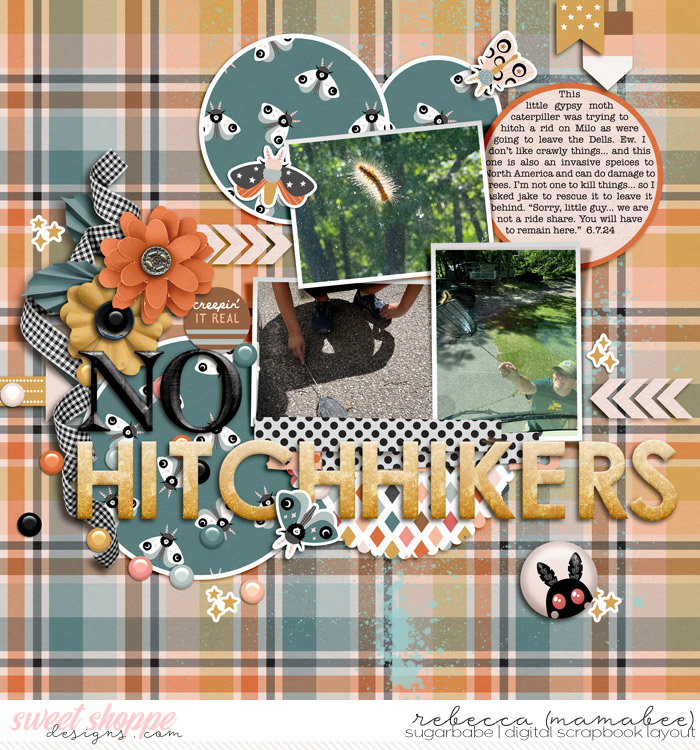 No hitchhikers