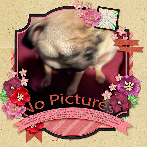 No Pictures