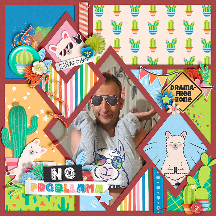 No probllama