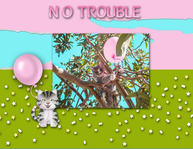 NO TROUBLE