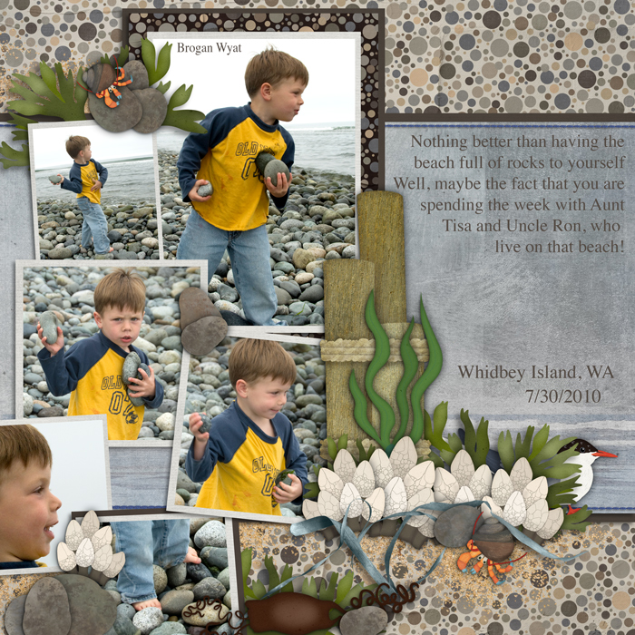 Northern Beaches bundle by Clever Monkey Graphics