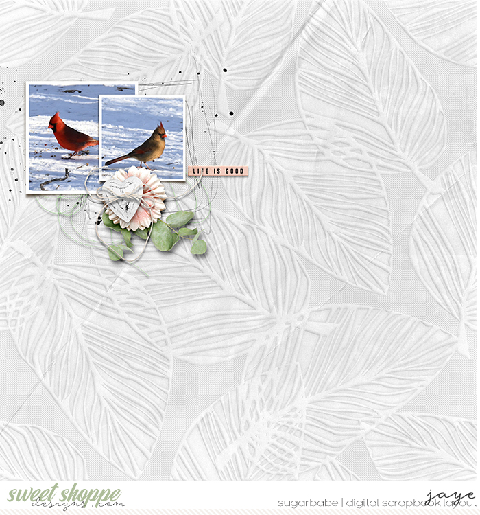 Northern Cardinal Pair