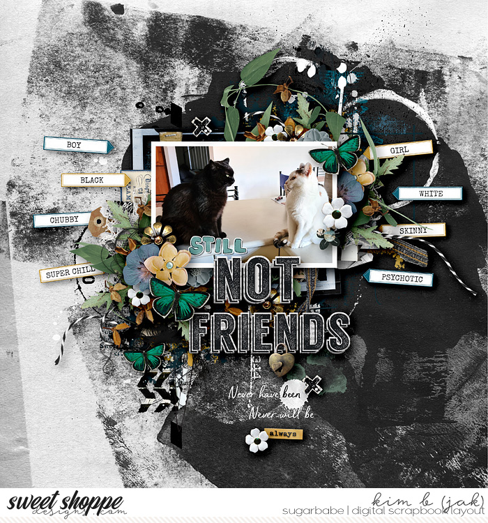 Not Friends