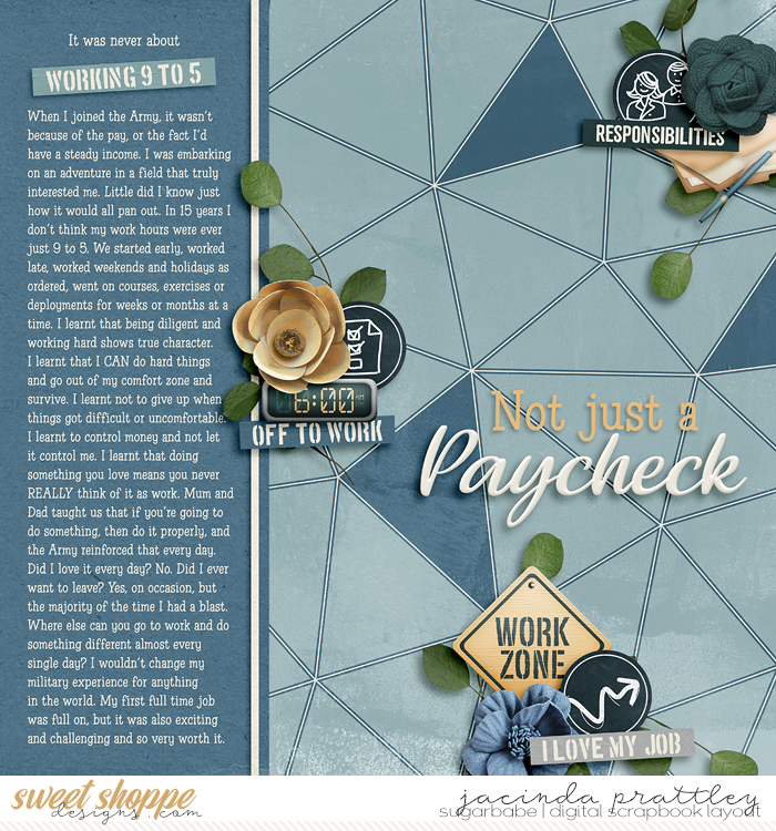Not just a paycheck