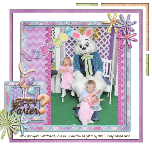 Not So Fond of the Bunny