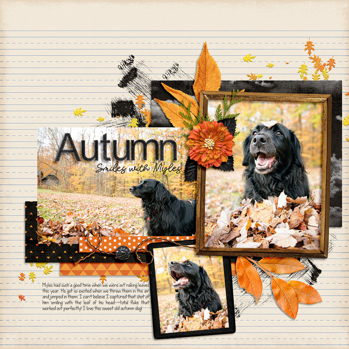 Nov Notebook background