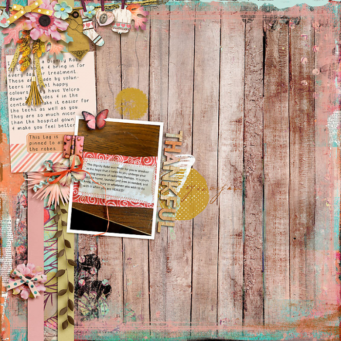 November 2020 Passport to Gratitude: Challenge 14 Currently