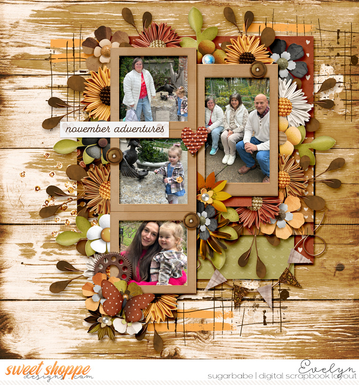 November Adventures