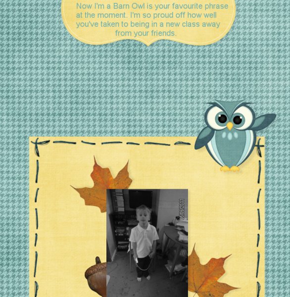 Now I'm a barn owl