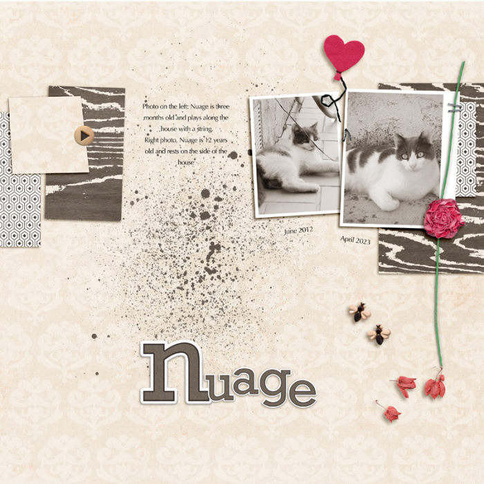 Nuage