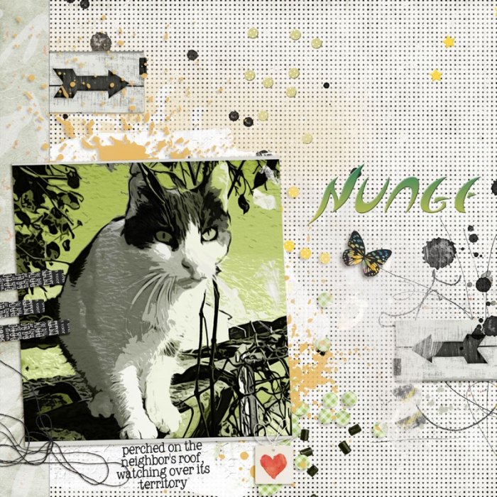 Nuage