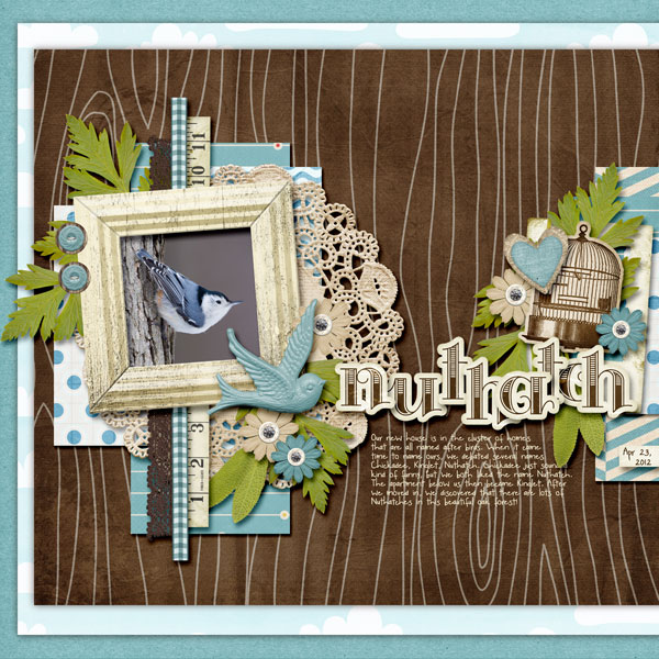 Nuthatch