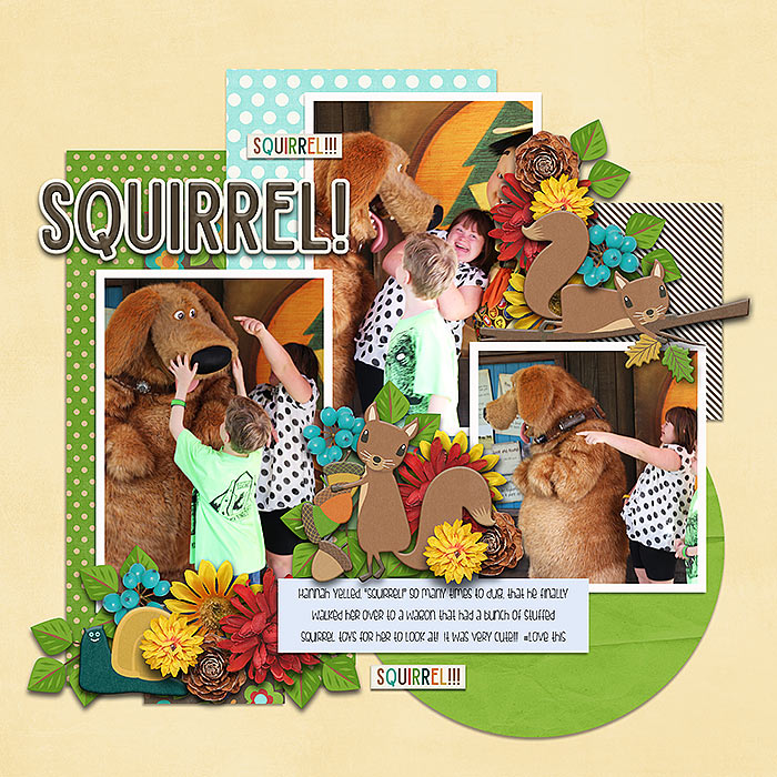 Nuts About Squirrels