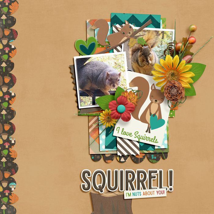 nuts about squirrels
