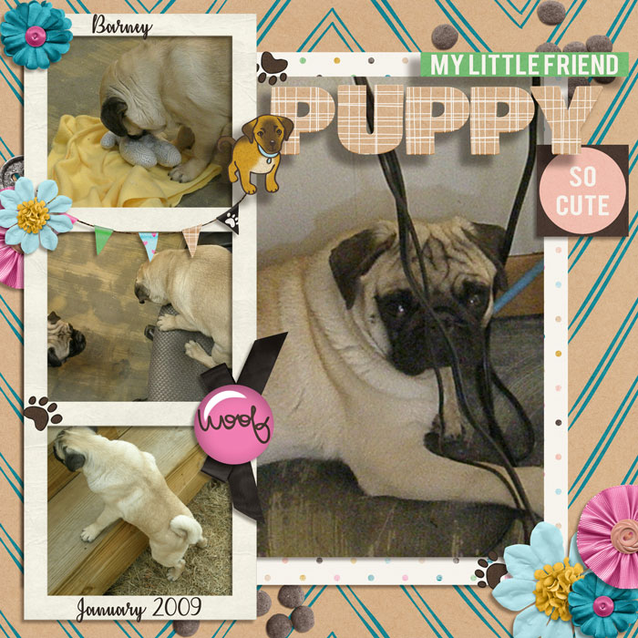 O5 - Puppy