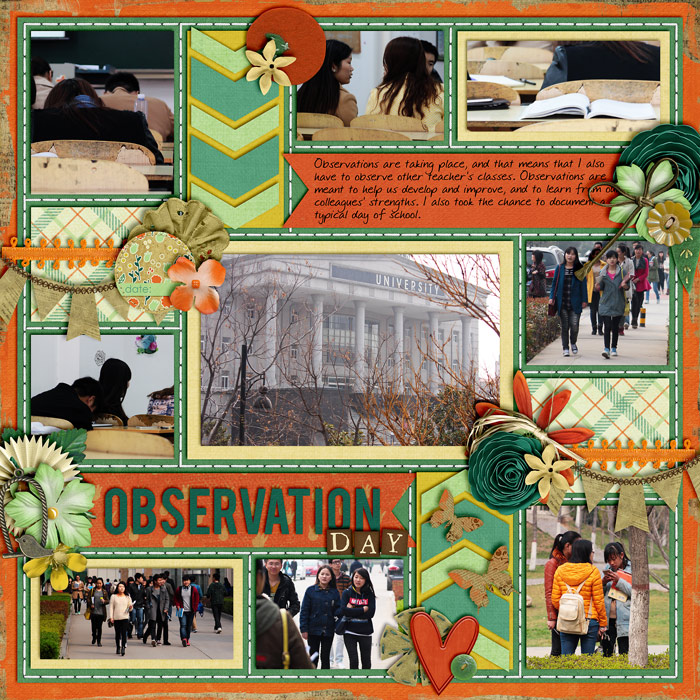 Observation Day