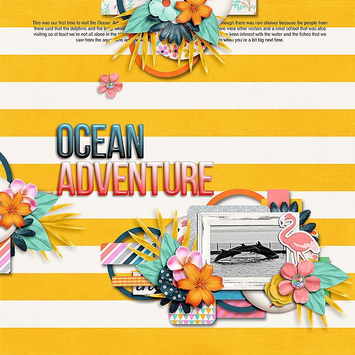 Ocean Adventure
