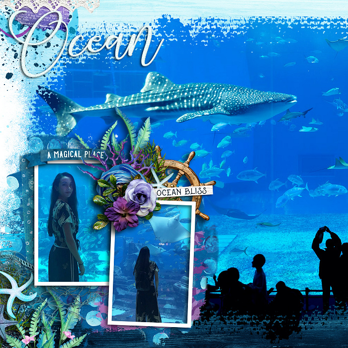 Ocean Aquarium